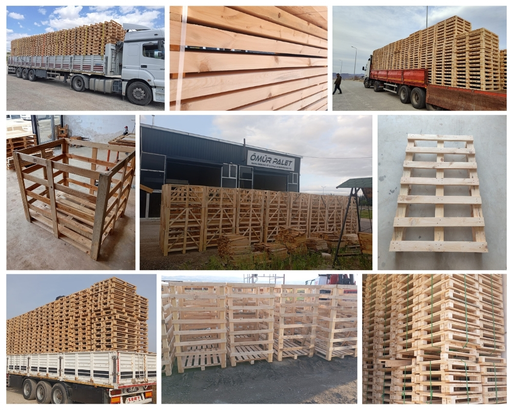 Nieuwendam Houten Kisten, Europallets Groothandel Kopen